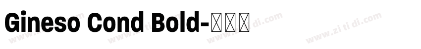 Gineso Cond Bold字体转换